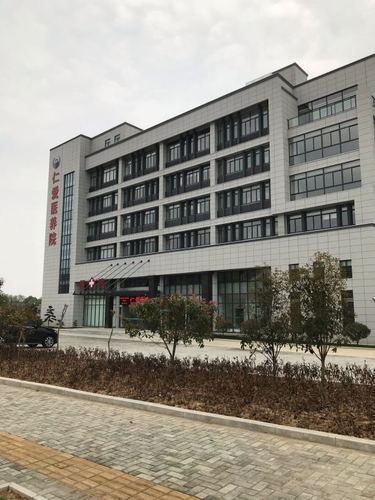 桐城市仁爱医养院